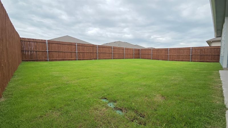 243 Desert Willow Way, Royse City TX 75189 - Photo 13