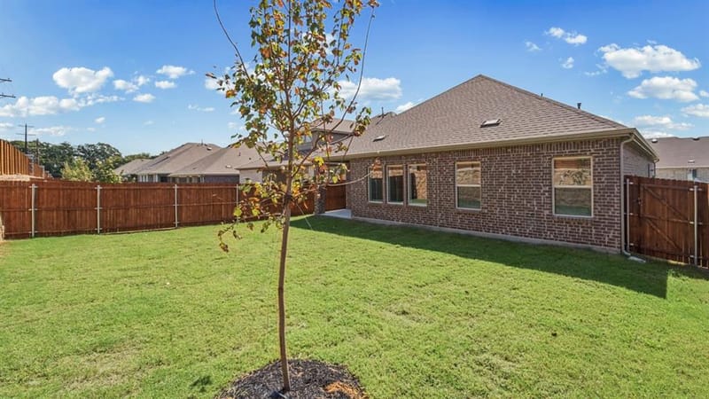 10021 Silver Nugget Street, Aubrey TX 76227 - Photo 6