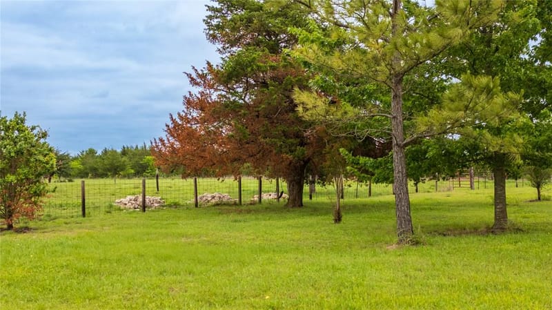 1782 Fm 1569, Greenville TX 75401 - Photo 15