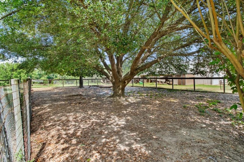 13580 County Road 4200, Lindale TX 75771 - Photo 36