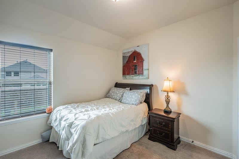 441 Rockaway Drive, Midlothian TX 76065 - Photo 25