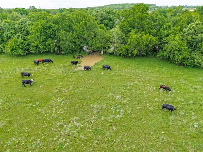 2900 County Road 317, Cleburne TX 76031 - Photo 20