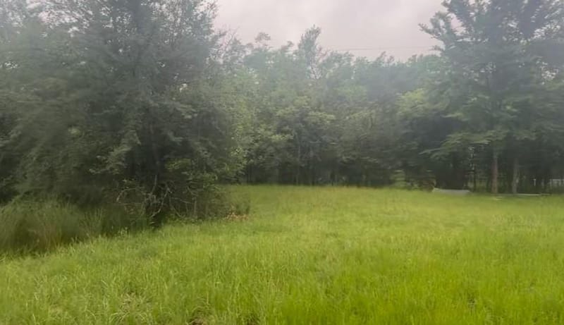 8990 County Road 2414, Quinlan TX 75474 - Photo 3