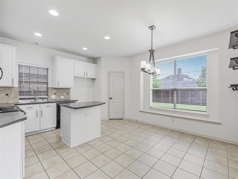 14812 Lone Spring Drive, Little Elm TX 75068 - Photo 6
