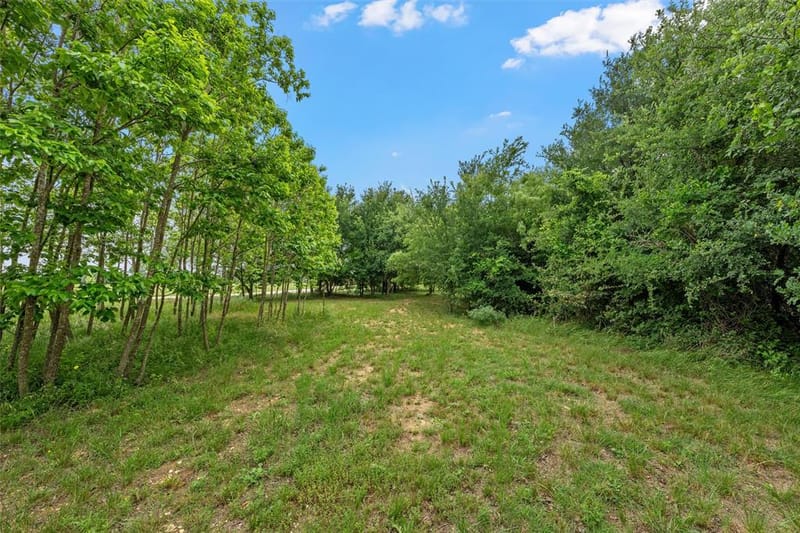 125 Private Road 245, Hillsboro TX 76645 - Photo 19