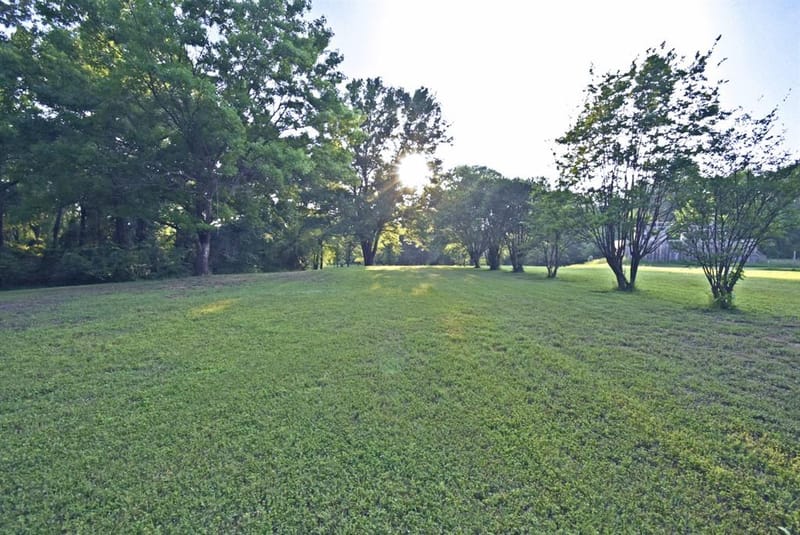 1489 County Road 1858, Yantis TX 75497 - Photo 38