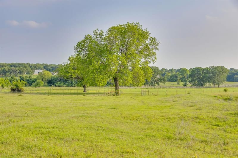 184 Hcr 1439, Covington TX 76636 - Photo 10