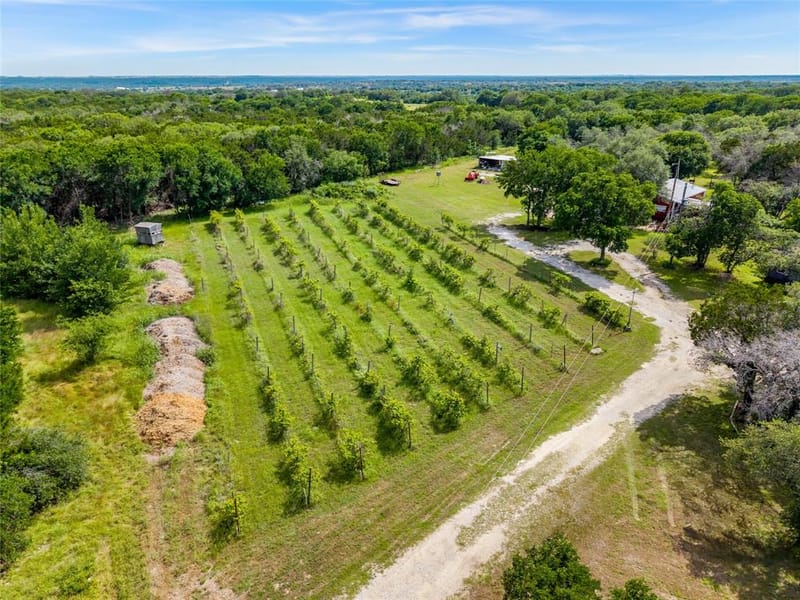 106 Private Road 1381, Morgan TX 76671 - Photo 3