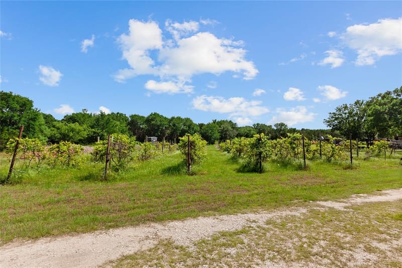 106 Private Road 1381, Morgan TX 76671 - Photo 4