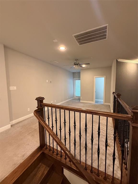 4229 Colton Drive, Carrollton TX 75010 - Photo 19
