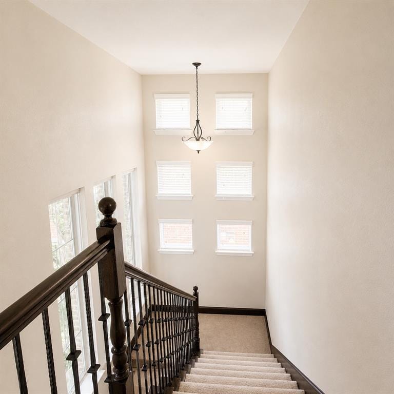 8416 Whistling Duck Drive, Fort Worth TX 76118 - Photo 21