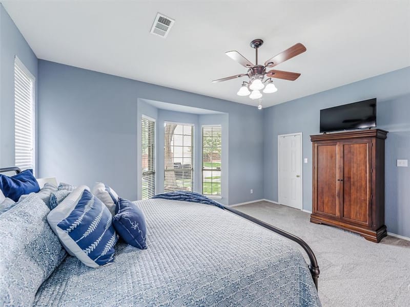 8653 Shakespeare Lane, Frisco TX 75036 - Photo 18