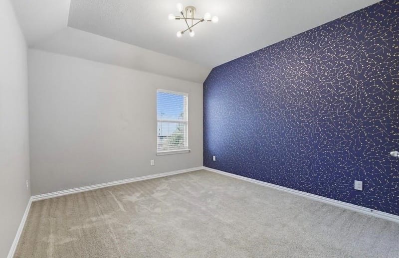 2509 Castle Creek Drive, Little Elm TX 75068 - Photo 23