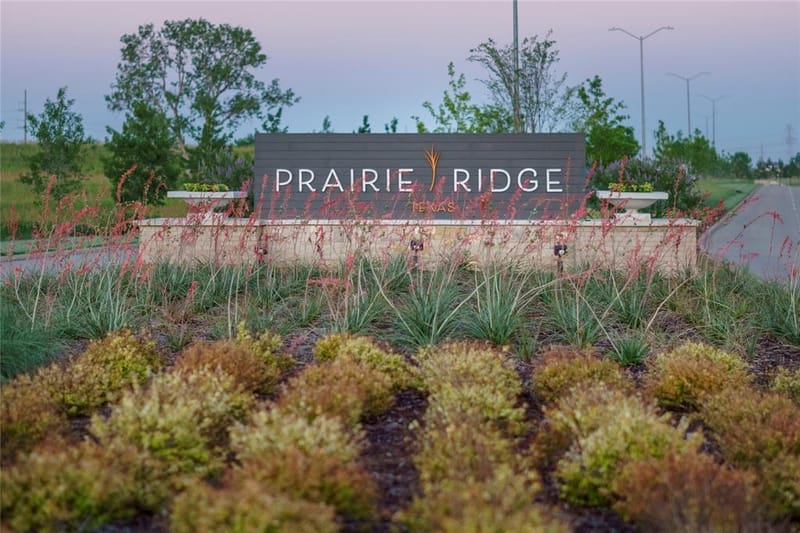 3730 Pinyon Pine Way, Venus TX 76084 - Photo 12