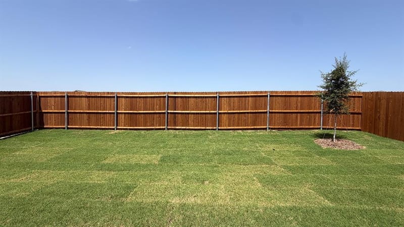 204 Van Horn Drive, Terrell TX 75160 - Photo 16