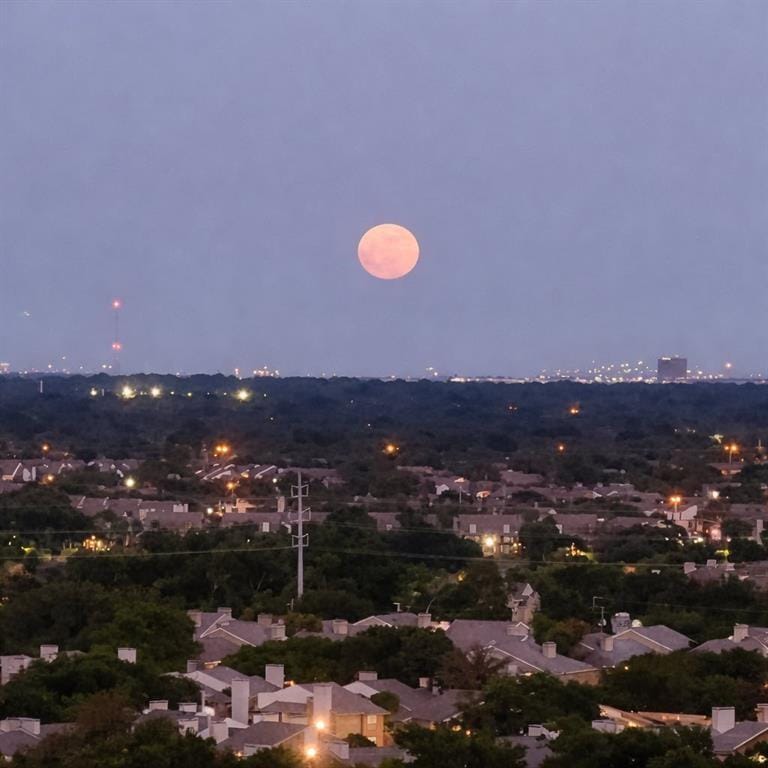 5200 Keller Springs Road # 1322, Dallas TX 75248 - Photo 3
