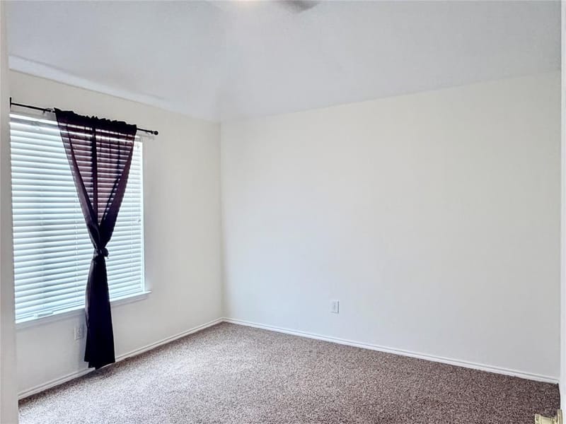 10109 Samantha Drive, Frisco TX 75035 - Photo 28
