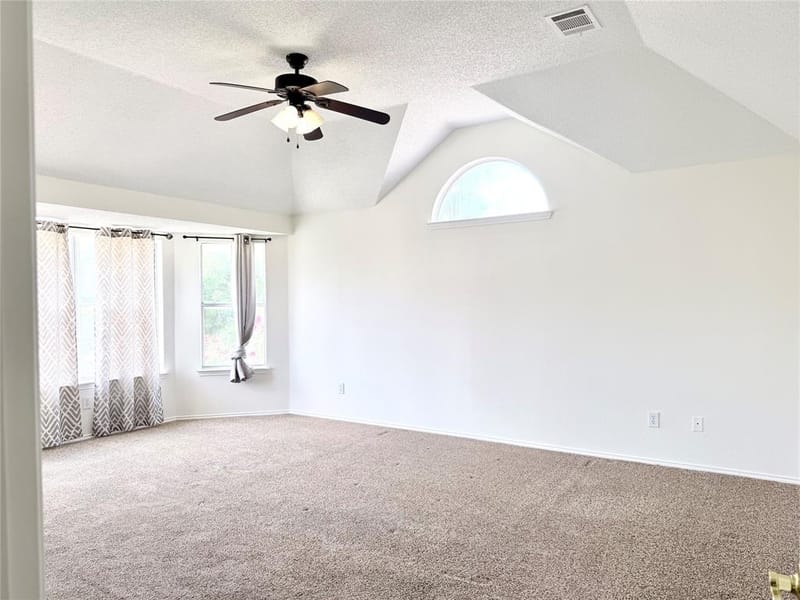 10109 Samantha Drive, Frisco TX 75035 - Photo 20