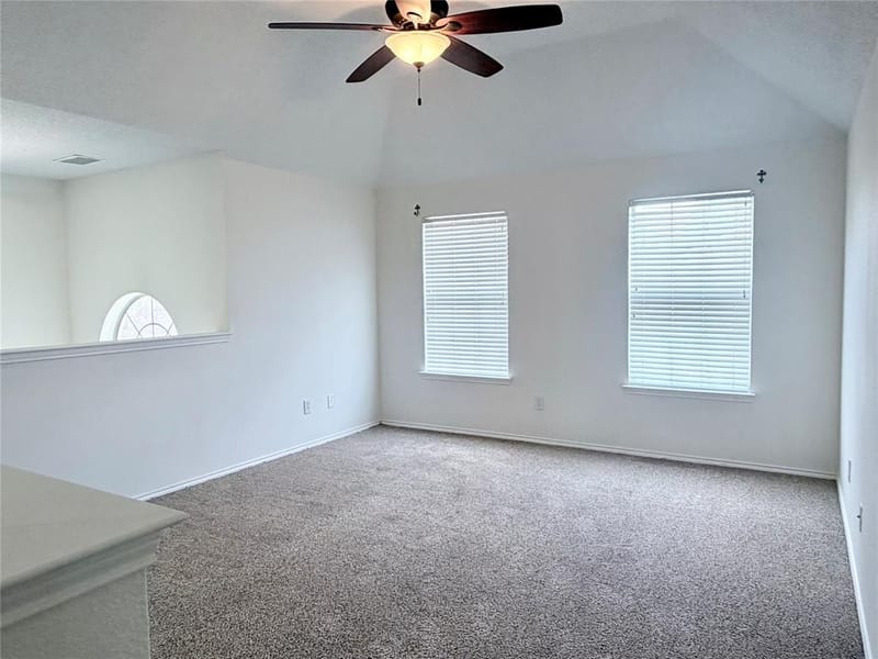 10109 Samantha Drive, Frisco TX 75035 - Photo 18
