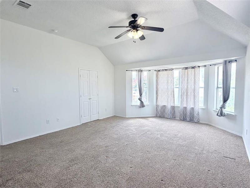 10109 Samantha Drive, Frisco TX 75035 - Photo 21