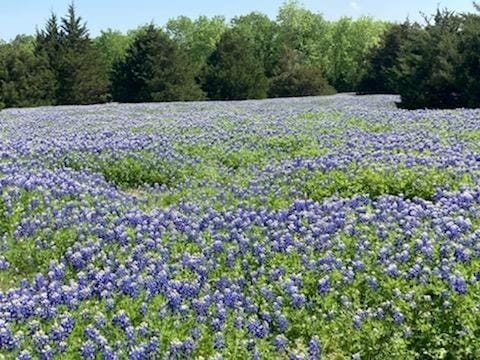 821 Ewing Road, Ferris TX 75125 - Photo 36