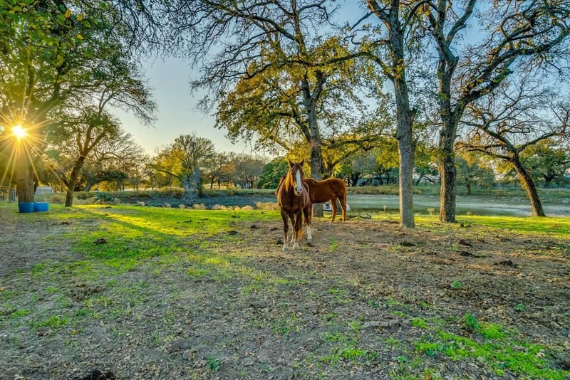 109 Tango Road, Weatherford TX 76087 - Photo 33