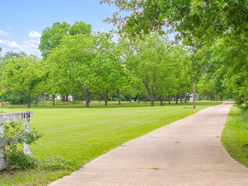 1434 Vz County Road 4519, Van TX 75790 - Photo 13