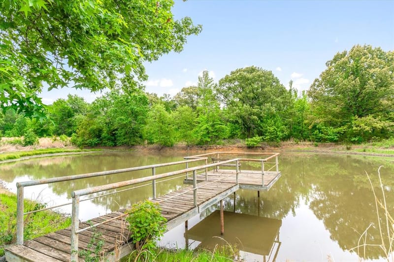 1434 Vz County Road 4519, Van TX 75790 - Photo 10
