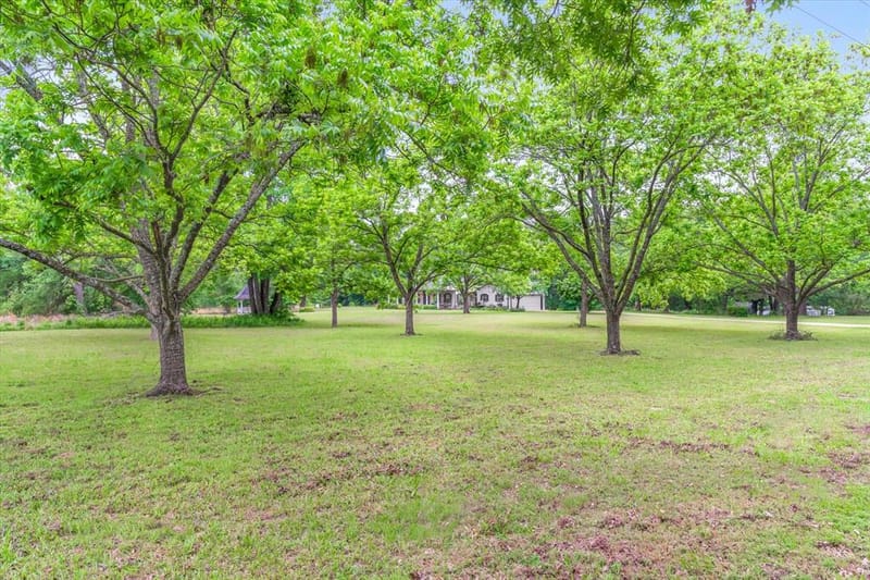 1434 Vz County Road 4519, Van TX 75790 - Photo 14