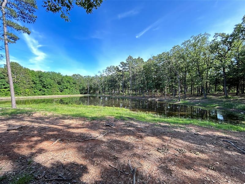 3236 Farm Road 3019, Winnsboro TX 75494 - Photo 6