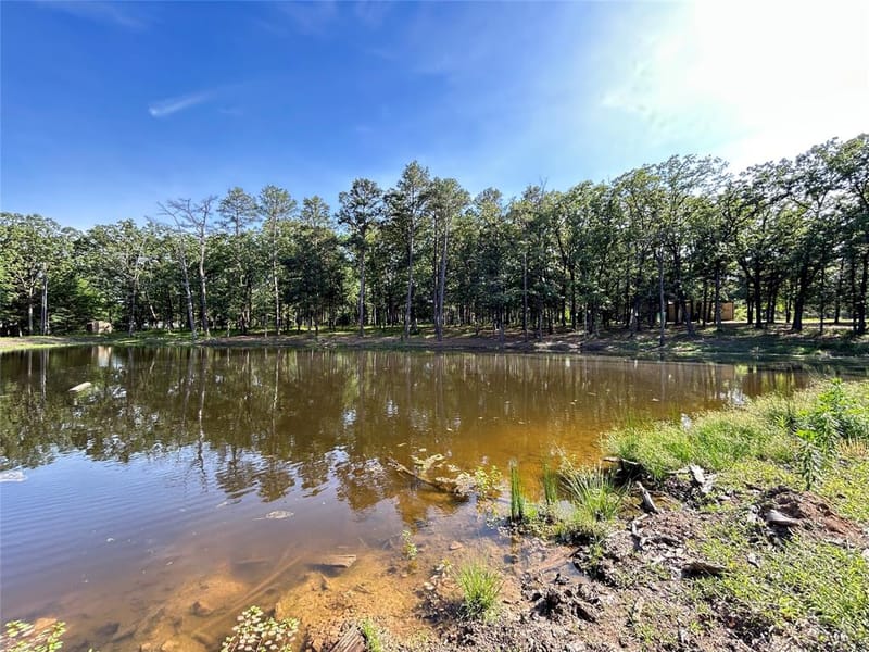 3236 Farm Road 3019, Winnsboro TX 75494 - Photo 26
