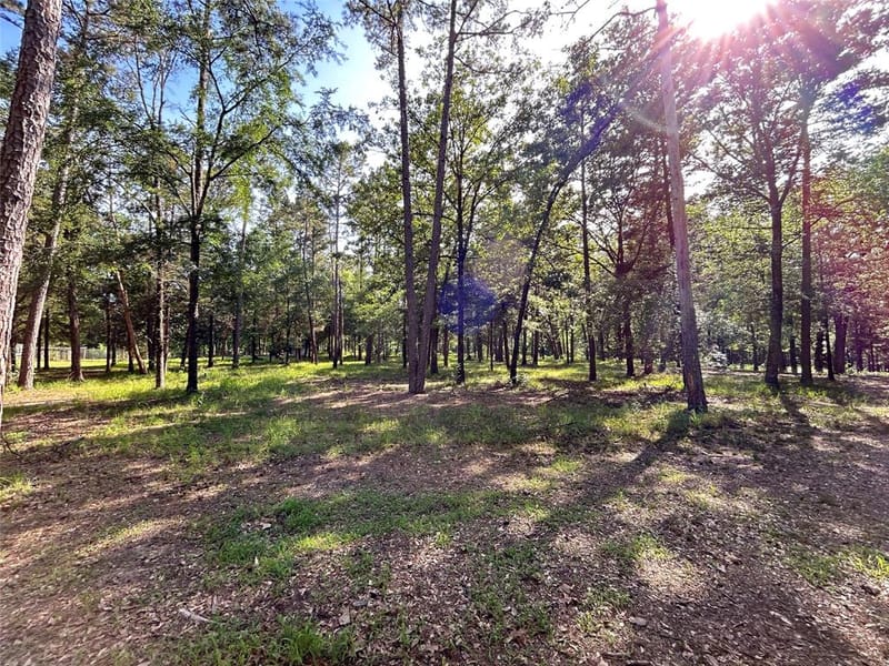 3236 Farm Road 3019, Winnsboro TX 75494 - Photo 7