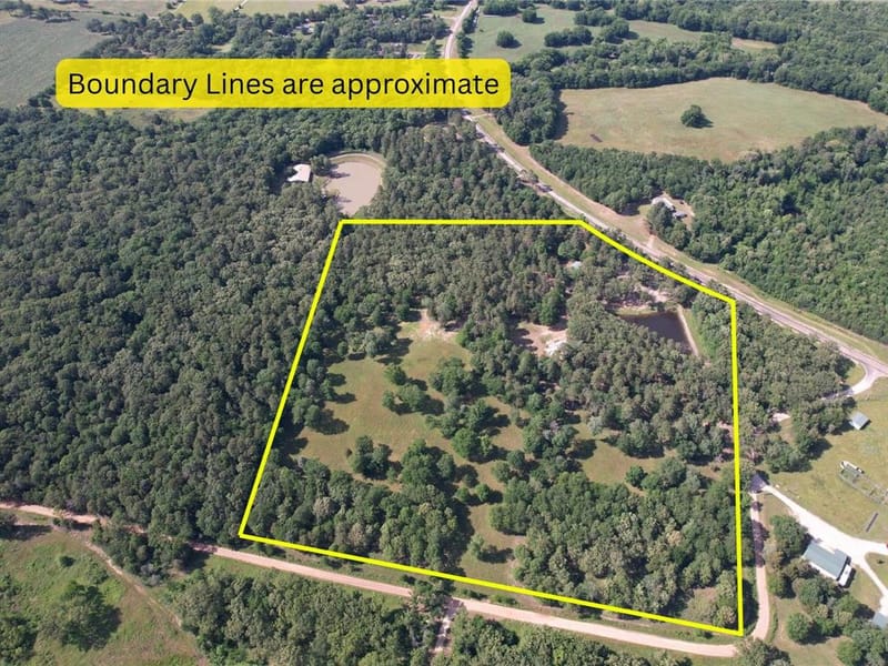 3236 Farm Road 3019, Winnsboro TX 75494 - Photo 32
