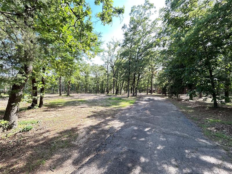 3236 Farm Road 3019, Winnsboro TX 75494 - Photo 5