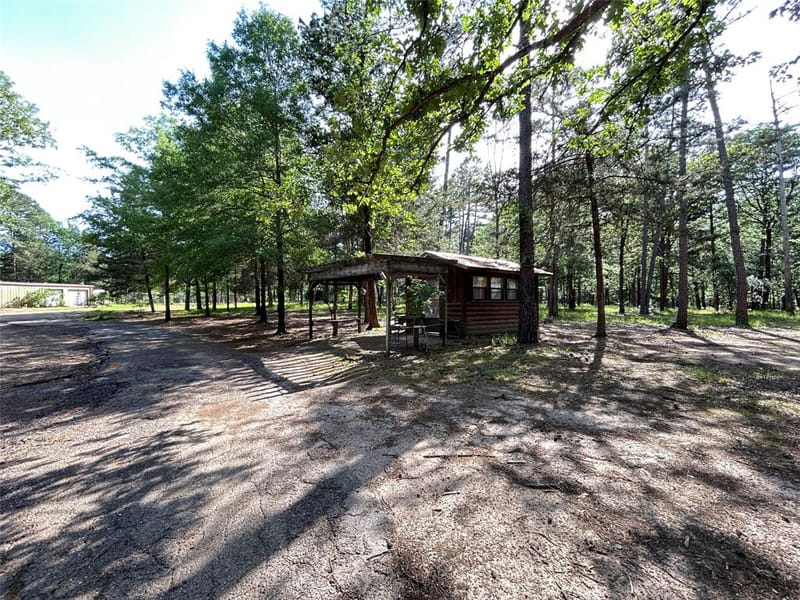 3236 Farm Road 3019, Winnsboro TX 75494 - Photo 38