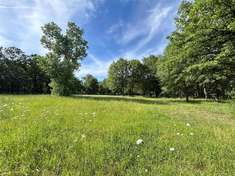 3236 Farm Road 3019, Winnsboro TX 75494 - Photo 40