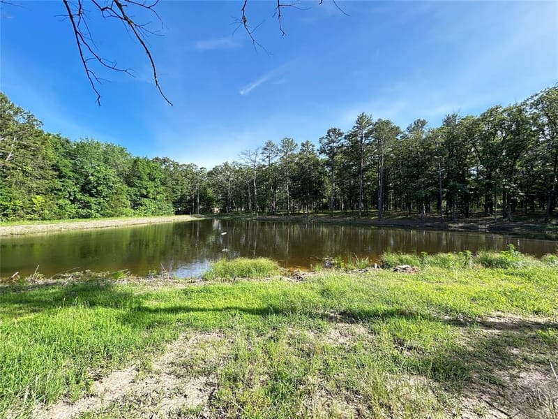 3236 Farm Road 3019, Winnsboro TX 75494 - Photo 25