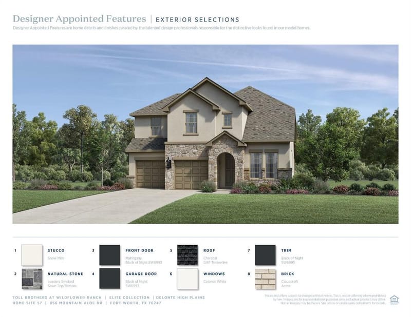 856 Mountain Aloe Drive, Fort Worth TX 76247 - Photo 6