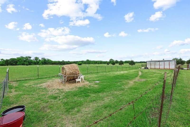 1217 County Road 4705, Leonard TX 75452 - Photo 32
