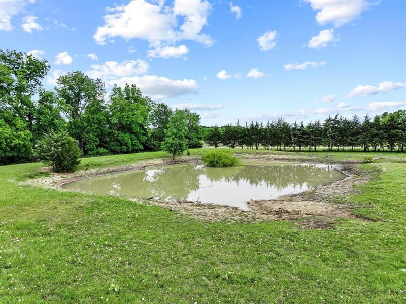 1217 County Road 4705, Leonard TX 75452 - Photo 37
