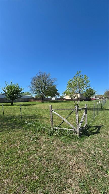 119 Enchanted Lakes Drive, Azle TX 76020 - Photo 11