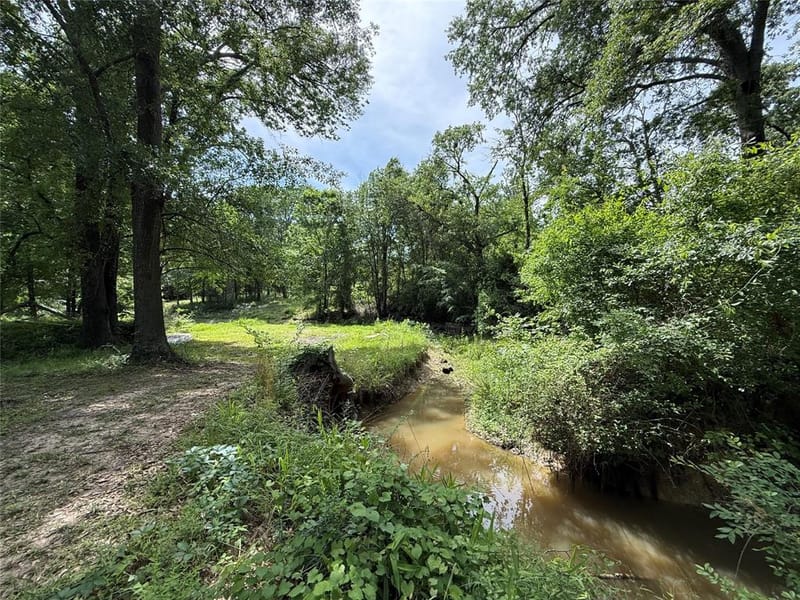 148 Indian Gap Drive, Mabank TX 75156 - Photo 23