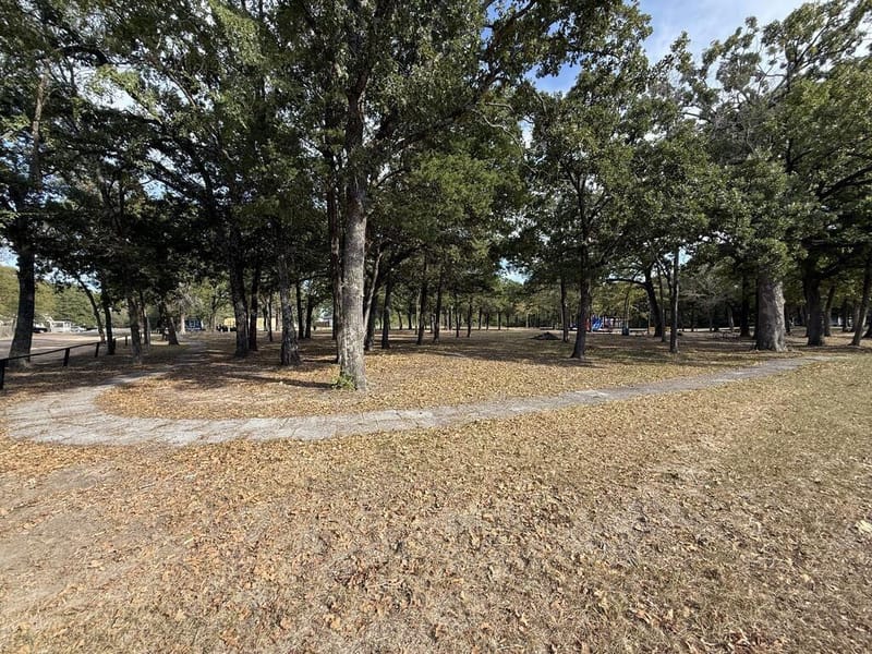 148 Indian Gap Drive, Mabank TX 75156 - Photo 26