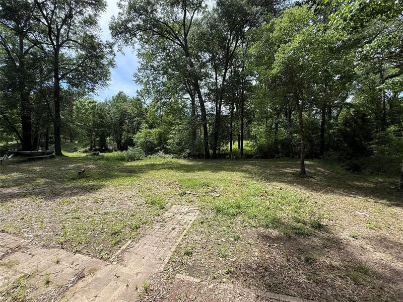 148 Indian Gap Drive, Mabank TX 75156 - Photo 22