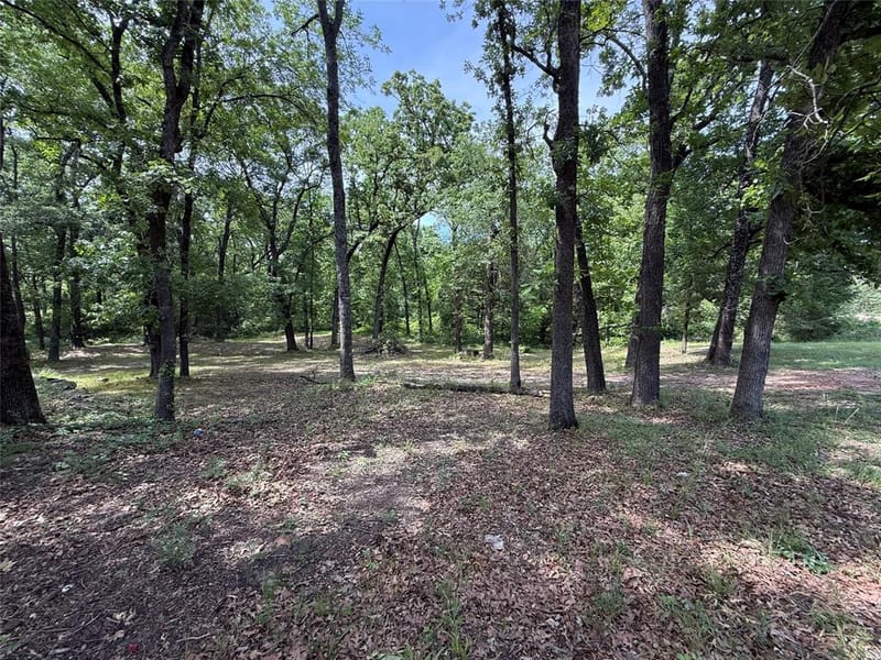 148 Indian Gap Drive, Mabank TX 75156 - Photo 20