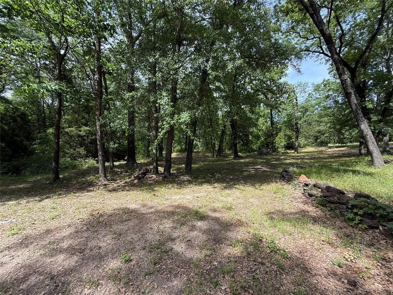 148 Indian Gap Drive, Mabank TX 75156 - Photo 21