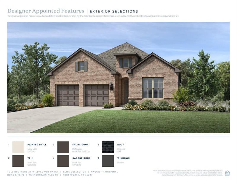 713 Mountain Aloe Drive, Fort Worth TX 76247 - Photo 6