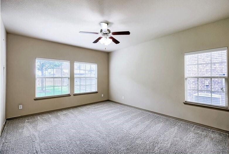 4105 Plymouth Drive, McKinney TX 75070 - Photo 13