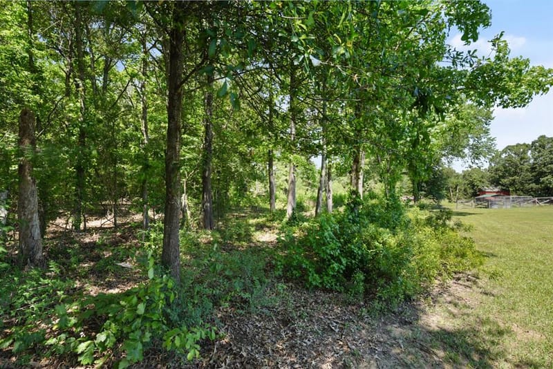 155 RS County Road 4261, Emory TX 75440 - Photo 28