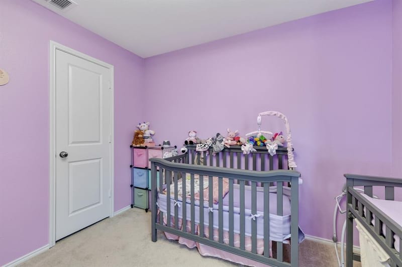 14164 Danesdale Drive, Pilot Point TX 76258 - Photo 29